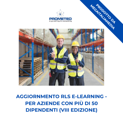 Aggiornamento RLS (e-learning) - ANNUALE VIII EDIZIONE PER AZIENDE >50 DIPENDENTI -prodotto da MegaItaliaMedia Prometeo Srl