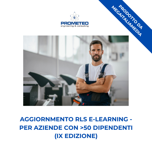 Aggiornamento RLS (e-learning) - ANNUALE IX EDIZIONE PER AZIENDE >50 DIPENDENTI -prodotto da MegaItaliaMedia Prometeo Srl