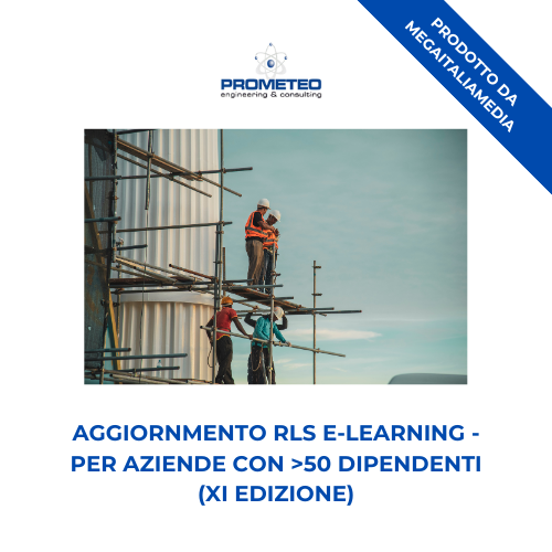 Aggiornamento RLS (e-learning) - ANNUALE XI EDIZIONE PER AZIENDE >50 DIPENDENTI - prodotto da MegaItaliaMedia Prometeo Srl