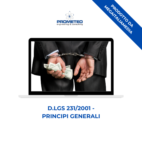 Corso formazione D.LGS 231/2001 (e-learning) - PRINCIPI GENERALI - prodotto da MegaItaliaMedia Prometeo Srl