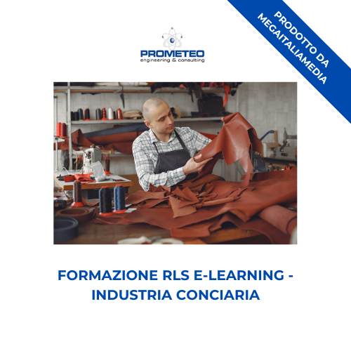 Corso Formazione RLS (e-learning) - INDUSTRIA CONCIARIA - prodotto da Megaitaliamedia Prometeo Srl