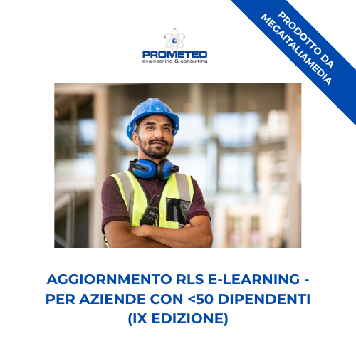 Aggiornamento RLS (e-learning) - ANNUALE IX EDIZIONE PER AZIENDE <50 DIPENDENTI -prodotto da MegaItaliaMedia Prometeo Srl