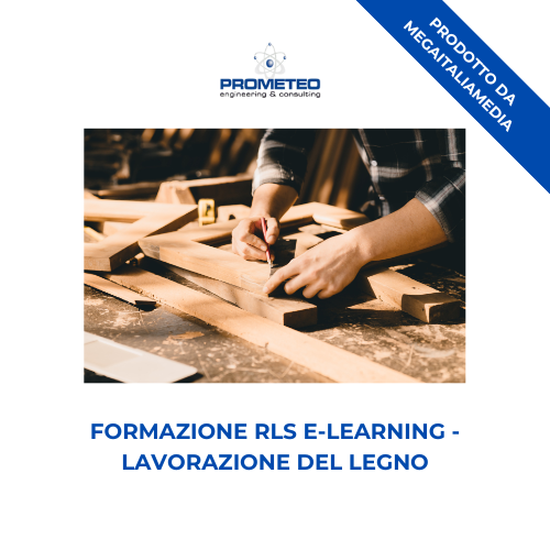 Corso Formazione RLS (e-learning) - LAVORAZIONE DEL LEGNO - prodotto da Megaitaliamedia Prometeo Srl