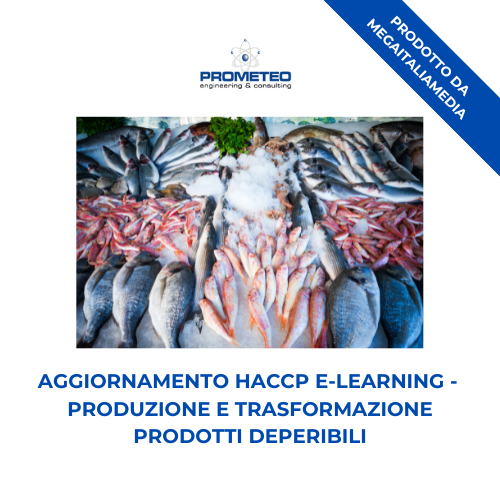 Corso aggiornamento HACCP e Igiene Alimentare (e-learning) - PRODUZIONE E TRASFORMAZIONE PRODOTTI DEPERIBILI - prodotto da MegaItaliaMedia Prometeo Srl