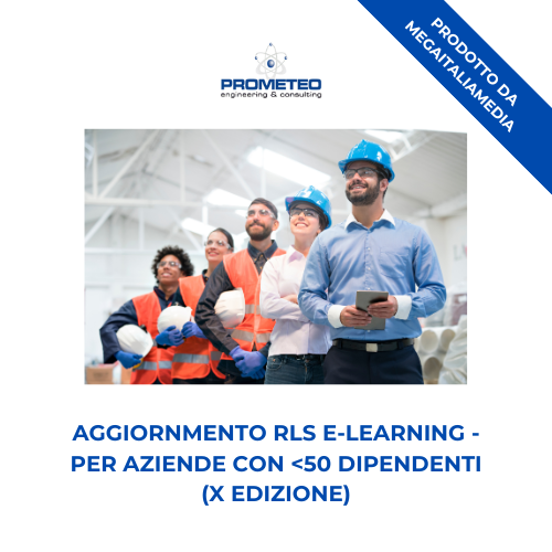 Aggiornamento RLS (e-learning) - ANNUALE X EDIZIONE PER AZIENDE <50 DIPENDENTI - prodotto da MegaItaliaMedia Prometeo Srl