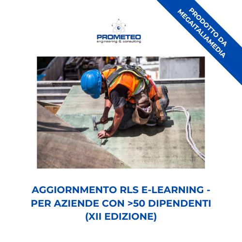 Aggiornamento RLS (e-learning) - ANNUALE XII EDIZIONE PER AZIENDE >50 DIPENDENTI - prodotto da MegaItaliaMedia Prometeo Srl