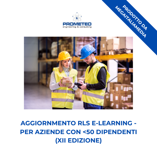 Aggiornamento RLS (e-learning) - ANNUALE XII EDIZIONE PER AZIENDE <50 DIPENDENTI - prodotto da MegaItaliaMedia Prometeo Srl