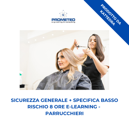 Sicurezza generale + specifica basso rischio (e-learning) - PARRUCCHIERI - prodotto da Kattedra Prometeo Srl