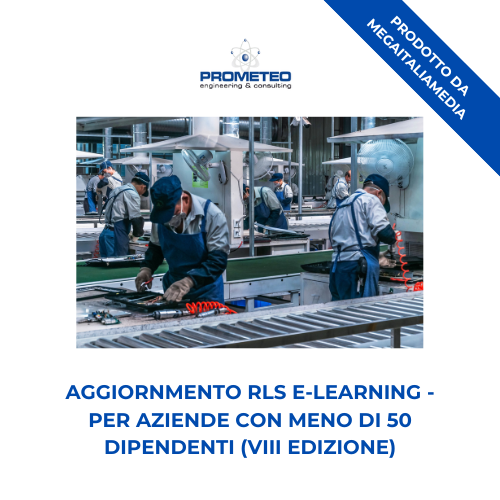 Aggiornamento RLS (e-learning) - ANNUALE VIII EDIZIONE PER AZIENDE <50 DIPENDENTI -prodotto da MegaItaliaMedia