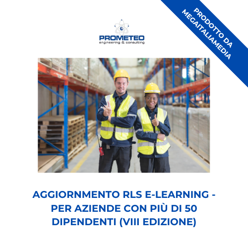 Aggiornamento RLS (e-learning) - ANNUALE VIII EDIZIONE PER AZIENDE >50 DIPENDENTI -prodotto da MegaItaliaMedia