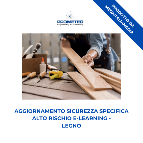 Aggiornamento sicurezza specifica alto rischio (e-learning) - LEGNO - prodotto da MegaItaliaMedia