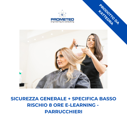 Sicurezza generale + specifica basso rischio (e-learning) - PARRUCCHIERI - prodotto da Kattedra