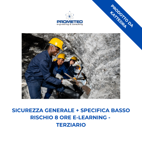 Sicurezza generale + specifica basso rischio (e-learning) - TERZIARIO - prodotto da Kattedra