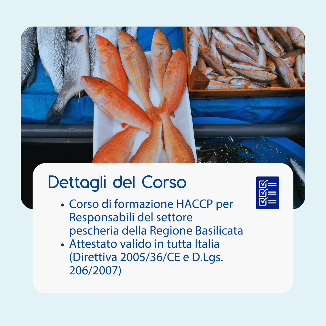 Corso formazione HACCP BASILICATA (e-learning) - RESPONSABILI SETTORE ALIMENTARE: PESCHERIE - prodotto da Kattedra