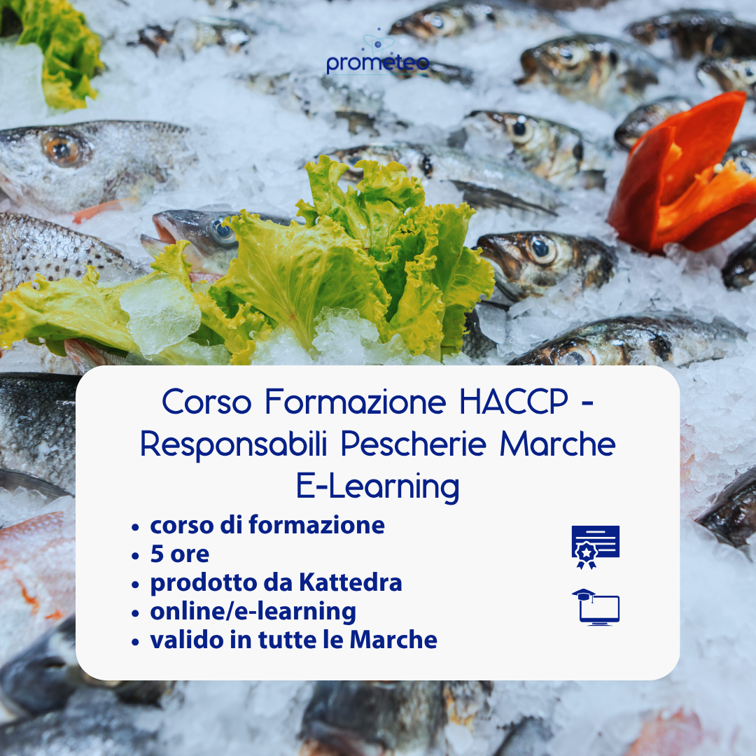Corso formazione HACCP MARCHE (e-learning) - RESPONSABILI SETTORE ALIMENTARE: PESCHERIE - prodotto da Kattedra